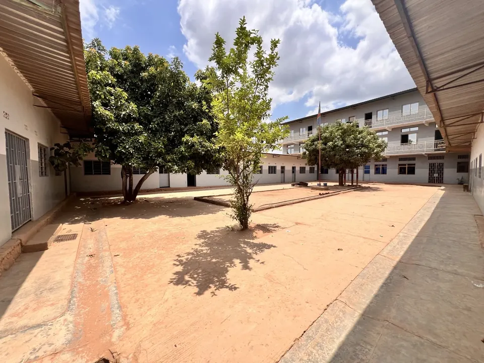 La cour arborée
