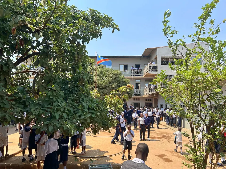 Une cour arborée